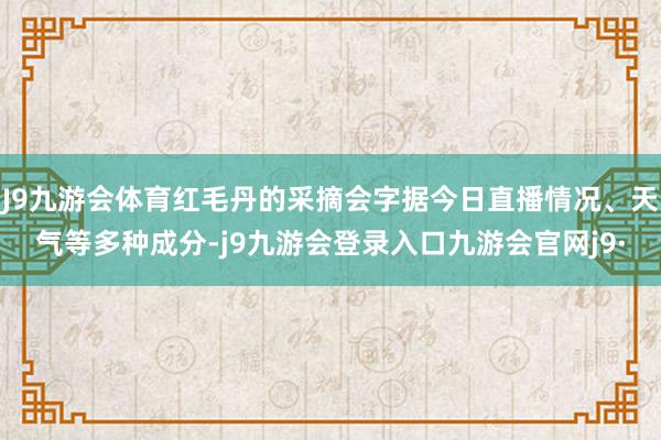 J9九游会体育红毛丹的采摘会字据今日直播情况、天气等多种成分-j9九游会登录入口九游会官网j9·