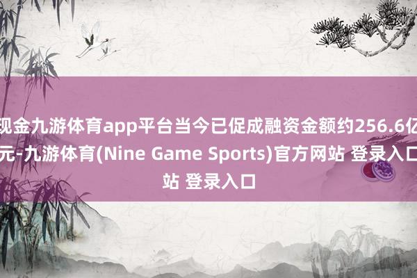 现金九游体育app平台当今已促成融资金额约256.6亿元-九游体育(Nine Game Sports)官方网站 登录入口